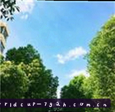 陈总